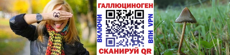 Галлюциногенные грибы прущие грибы  это клад  Суровикино 
