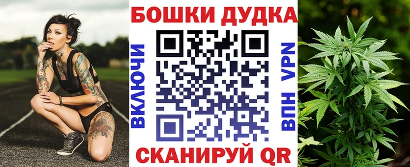 МЕГА вход  сколько стоит  Суровикино  Конопля ГИДРОПОН 